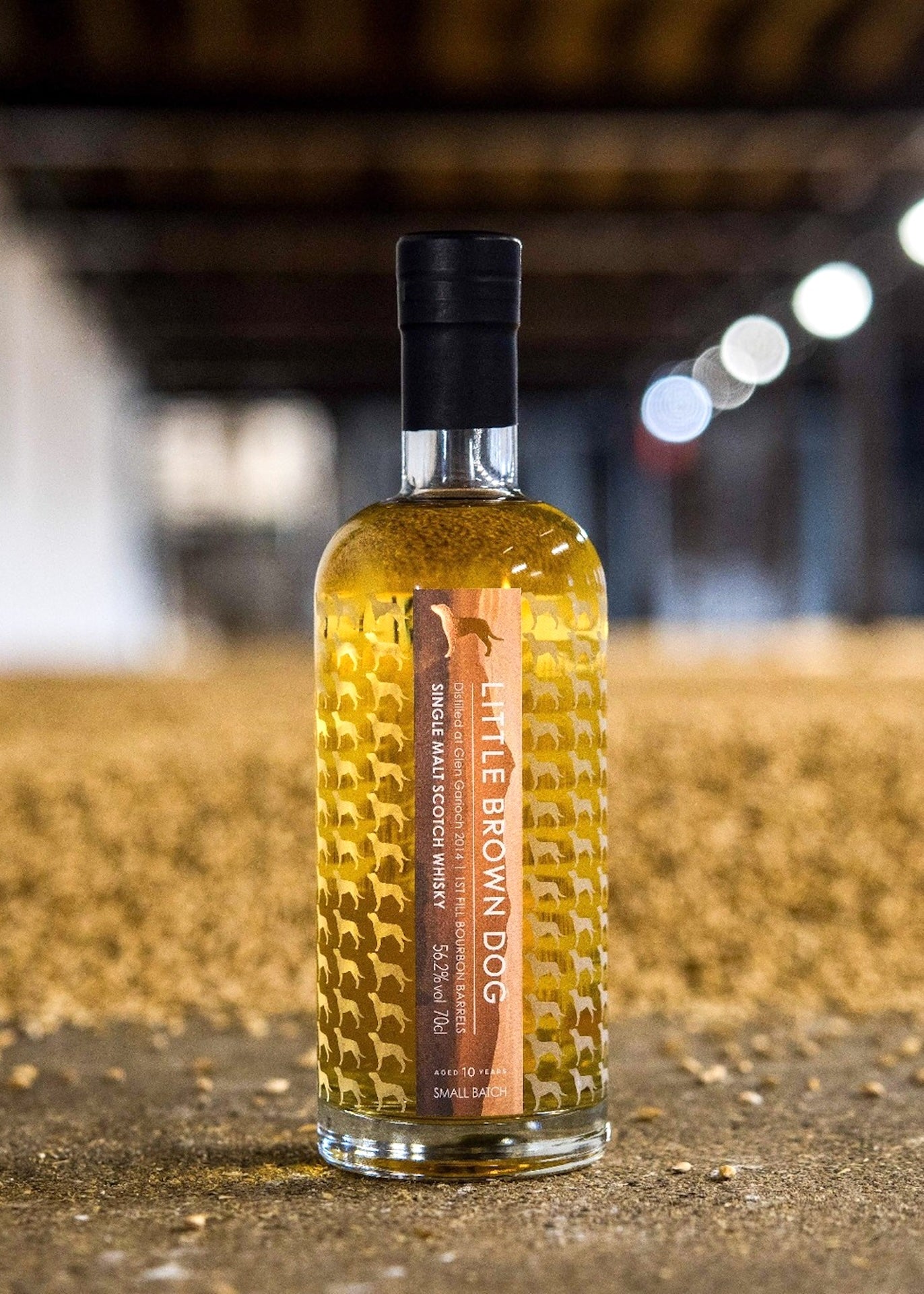Little Brown Dog Glen Garioch 10 Year Old