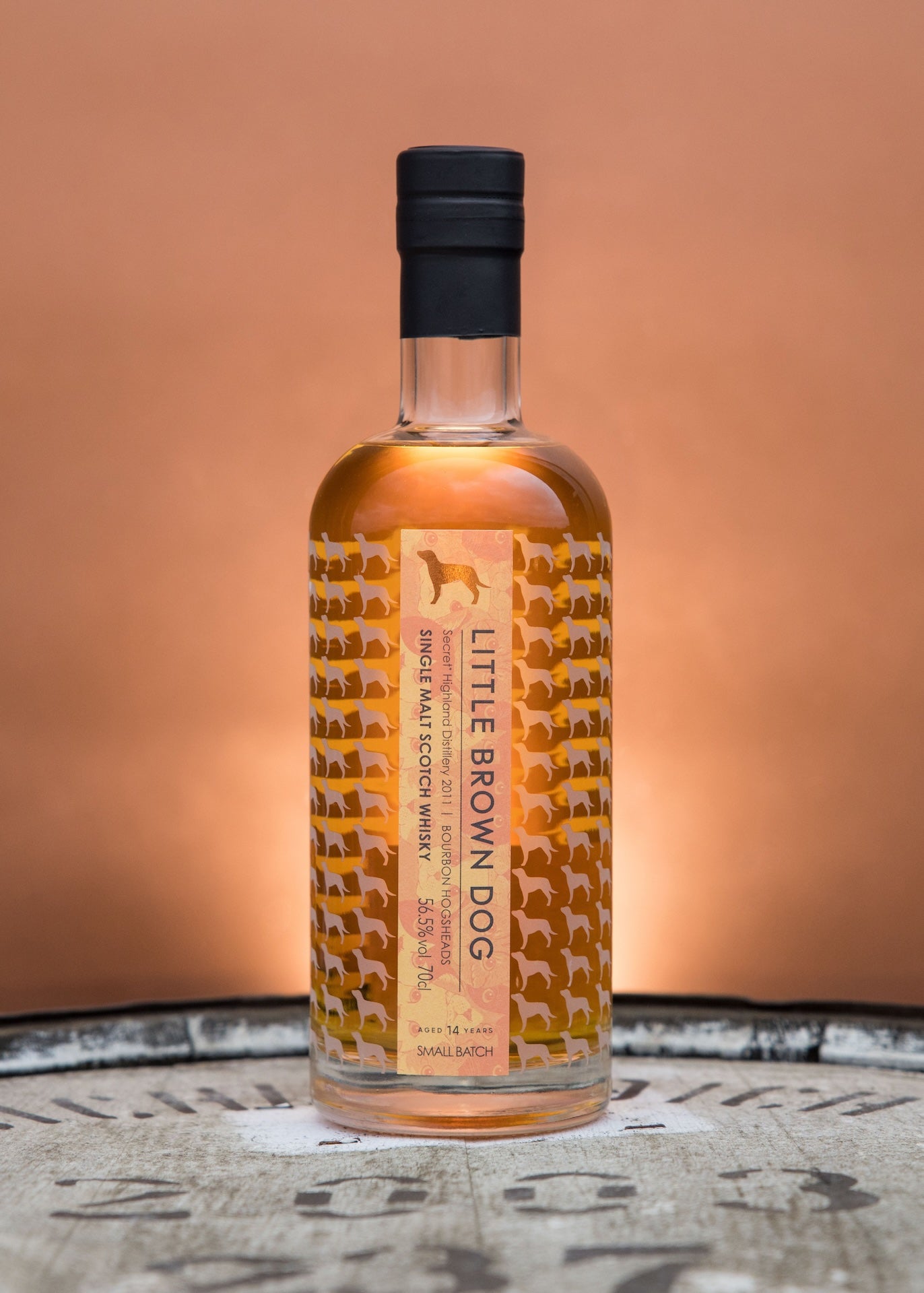 Little Brown Dog Secret Highland 14 Year Old