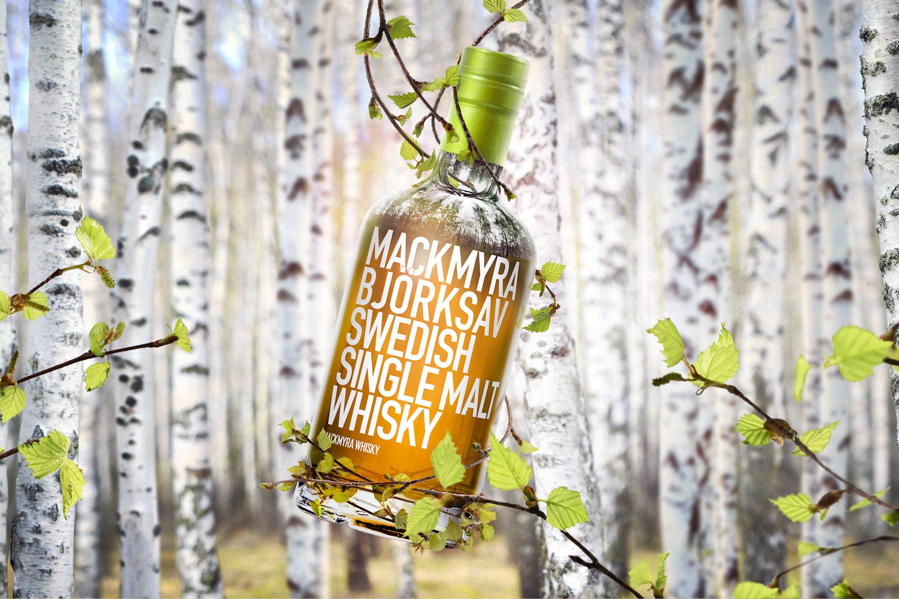 Review and Tasting Notes for Mackmyra Björksav Swedish Whisky