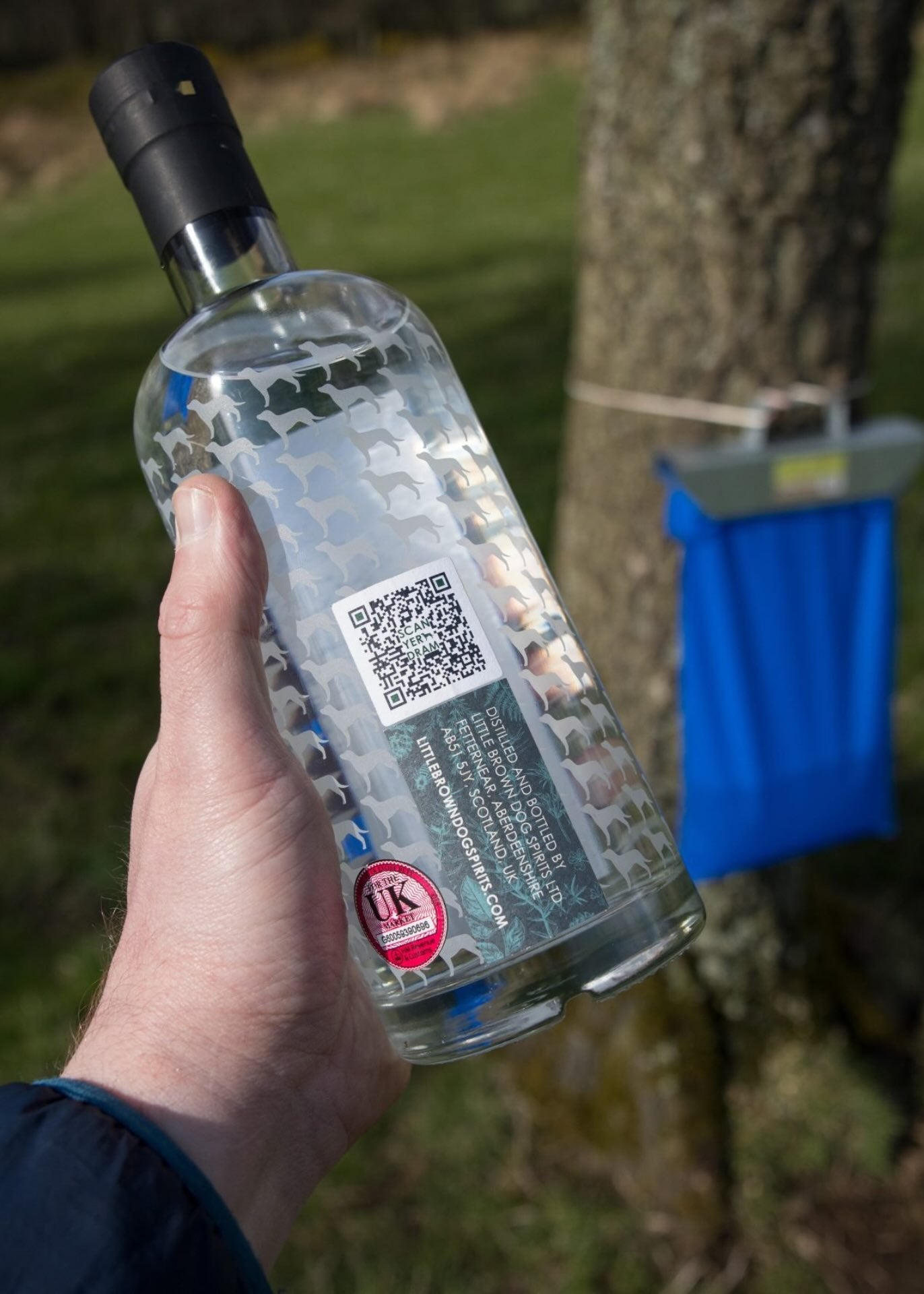 Little Brown Dog Aberdeenshire Foraged Gin