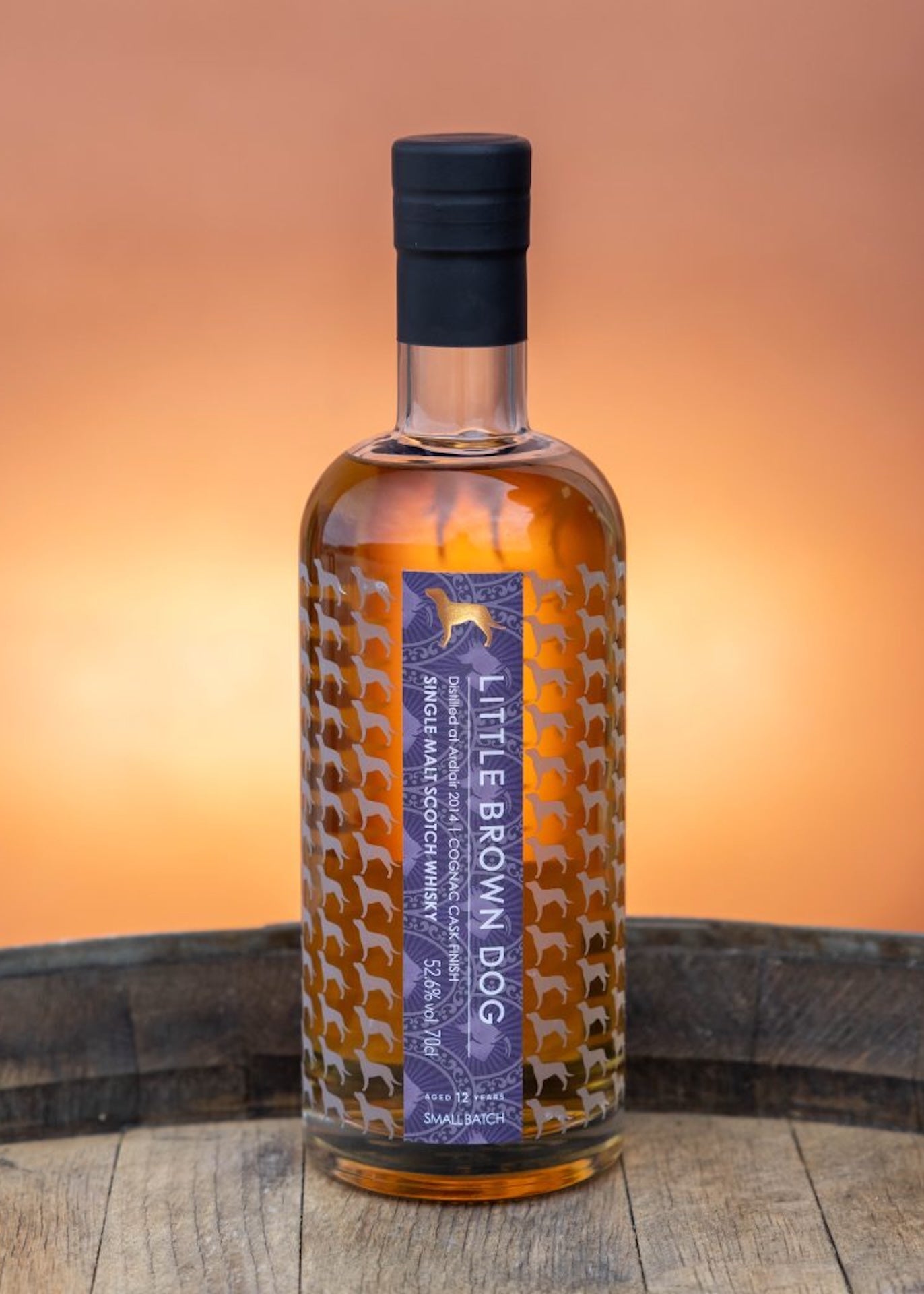 Little Brown Dog Ardlair 12 Year Old