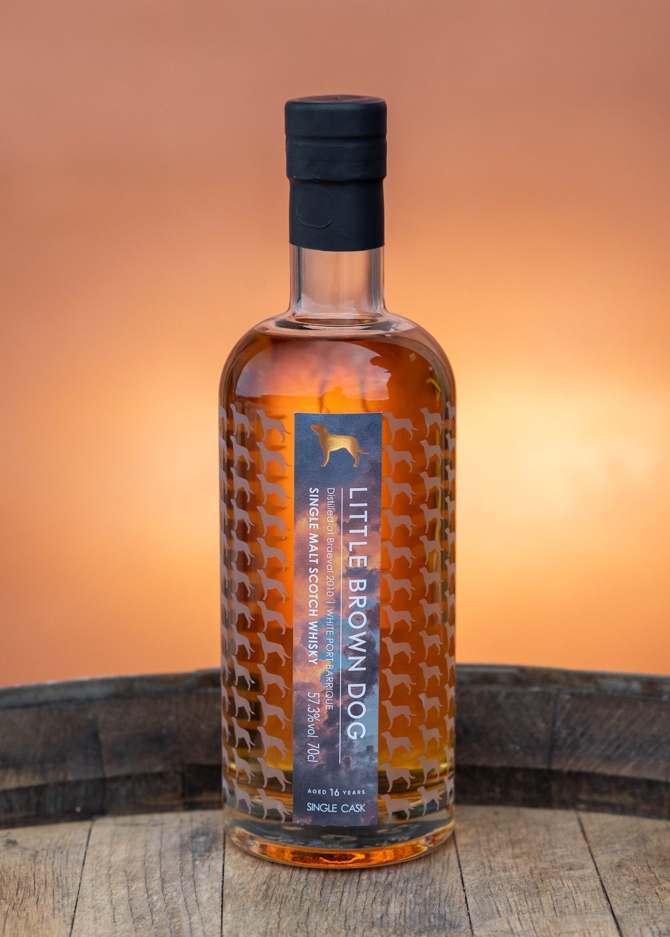 Little Brown Dog Braeval 16 Year Old