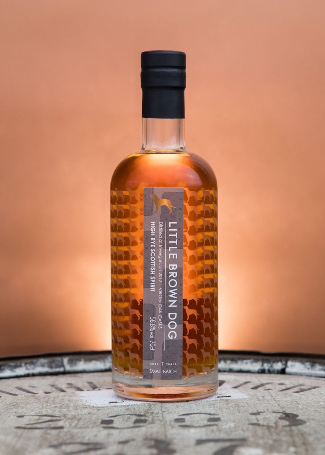 Little Brown Dog Invergordon 7 Year Old