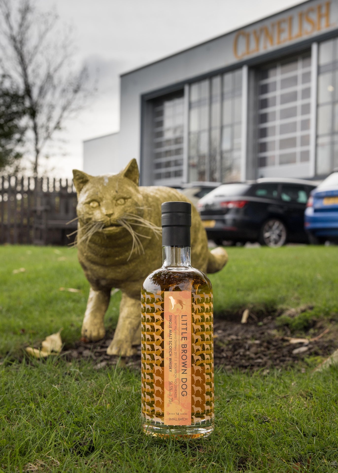 Little Brown Dog Secret Highland 14 Year Old