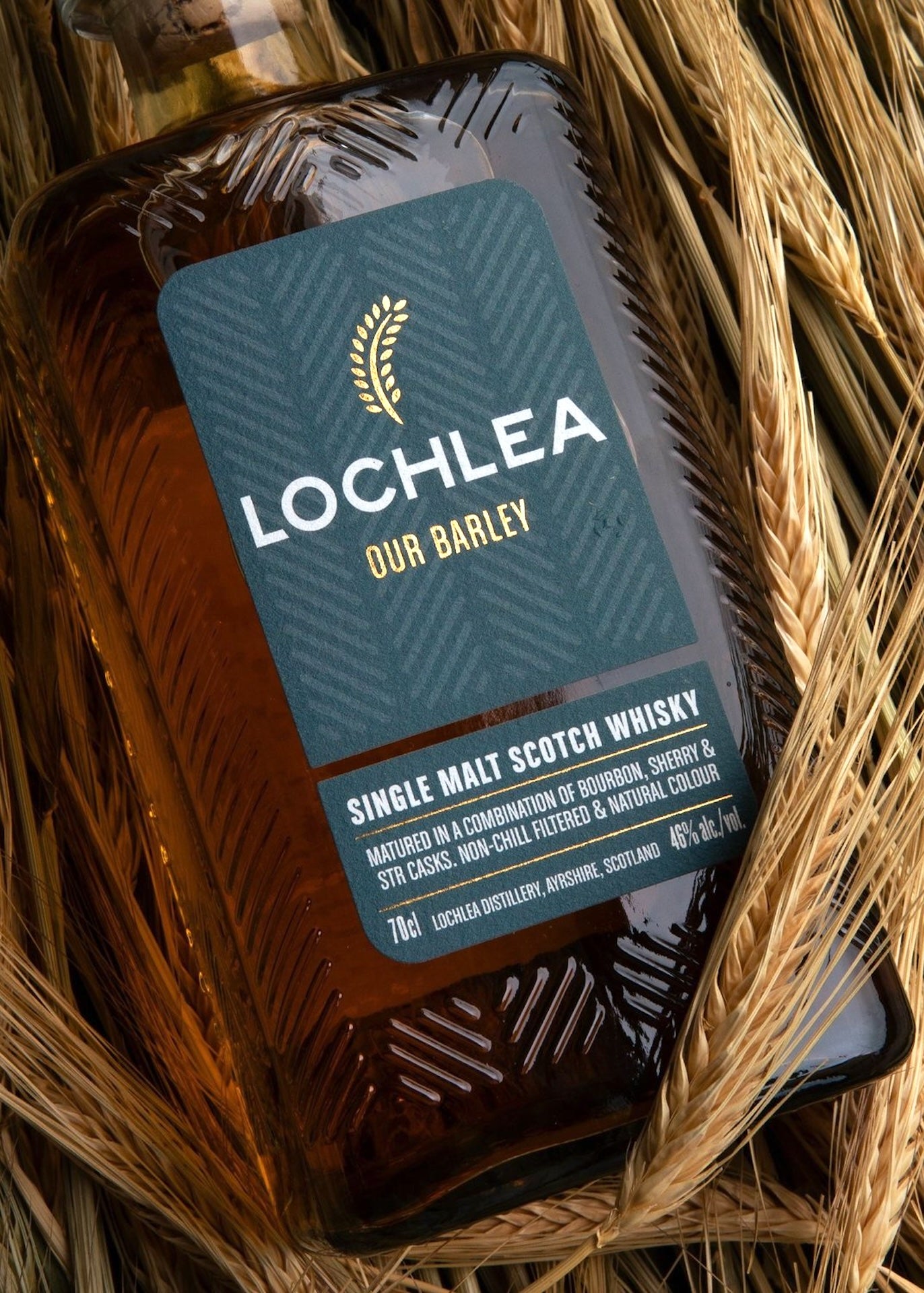 Lochlea Our Barley Single Malt Whisky