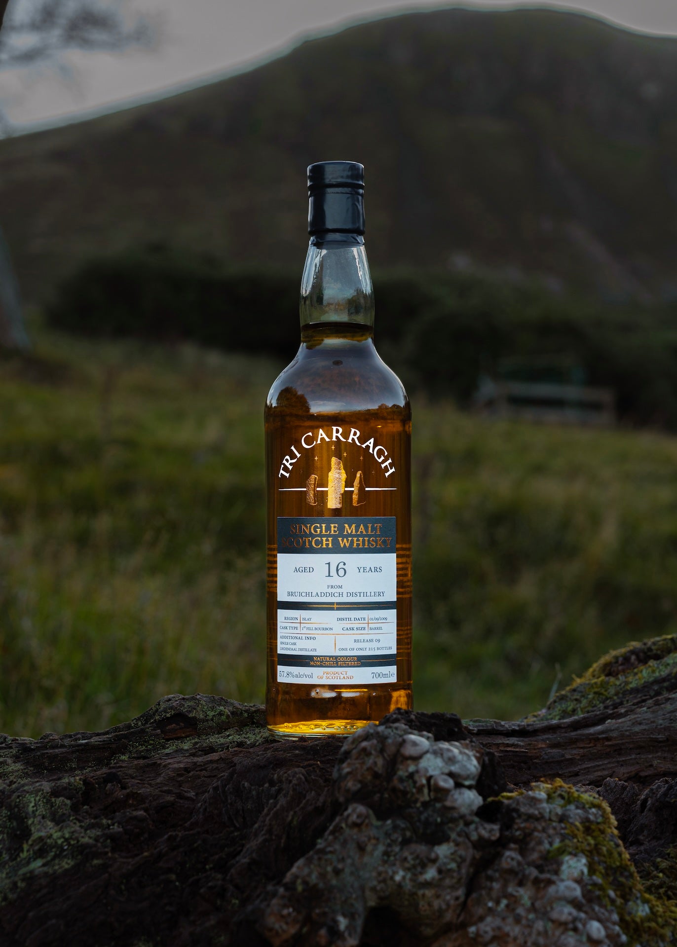 Tri Carragh Lochindaal 16 Year Old